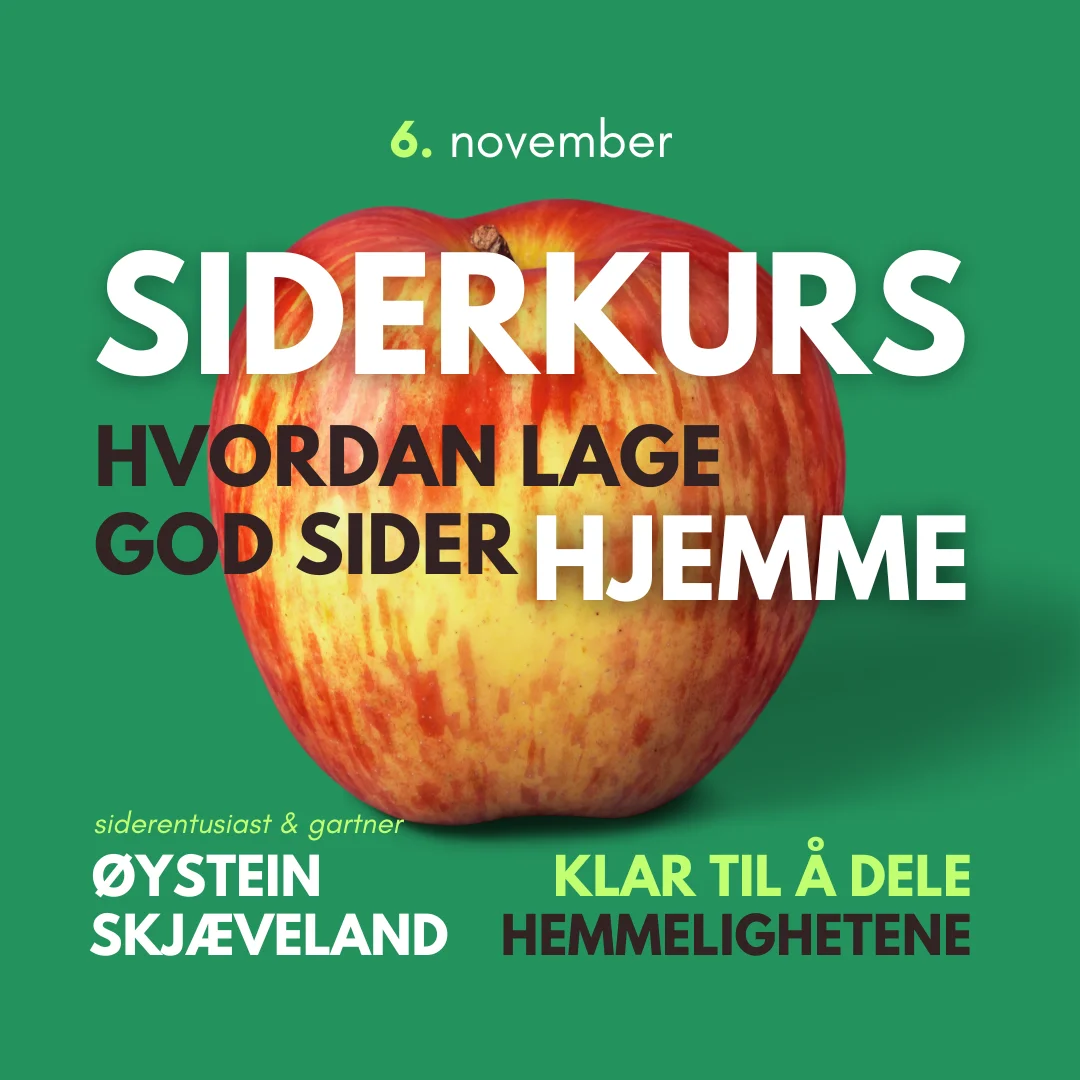 Siderkurs 6. november 2024