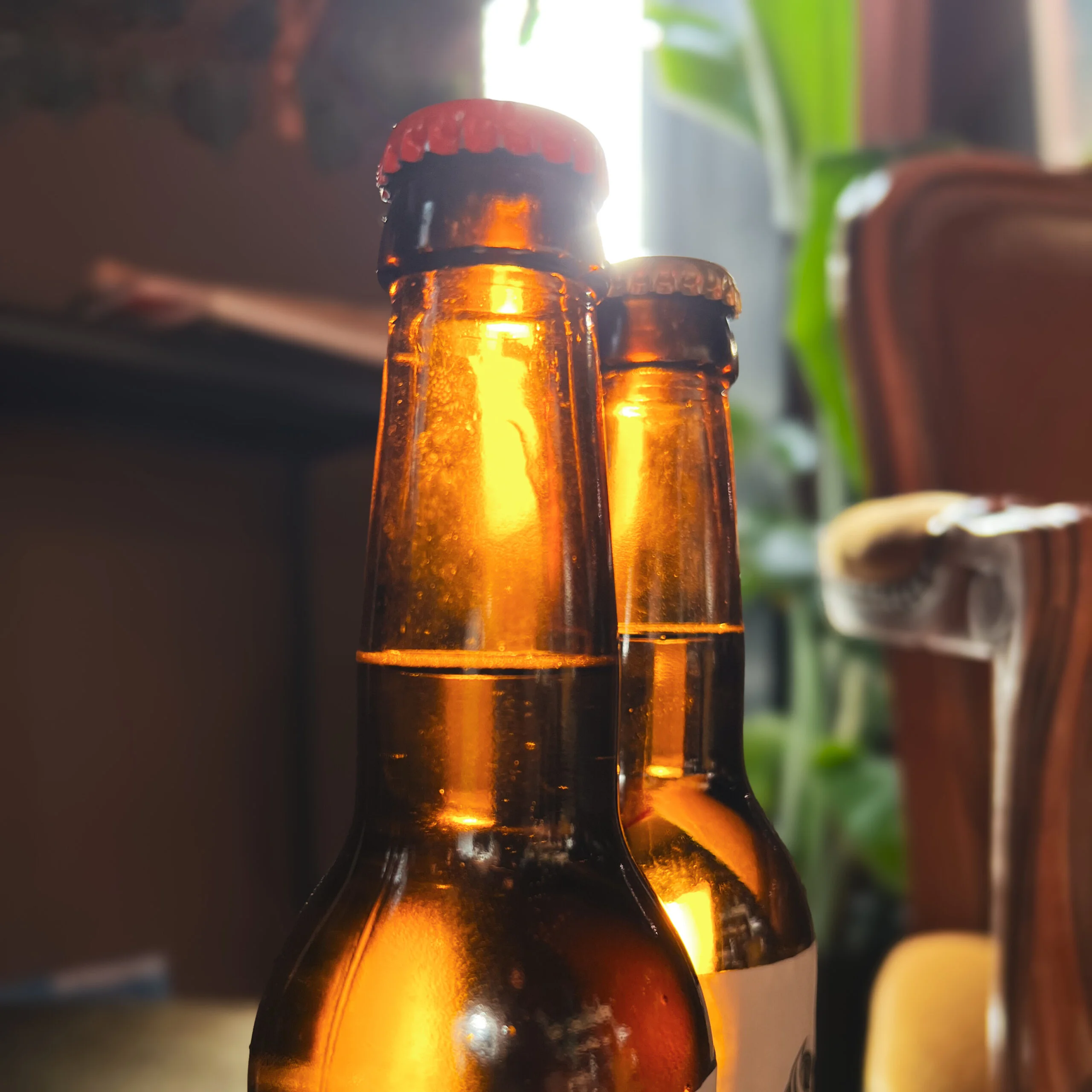 Siderkurs 25. september 2024 (Utsolgt) - Bilde 3